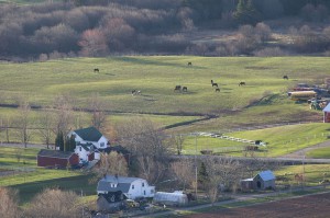 Annapolis valley ns cottages