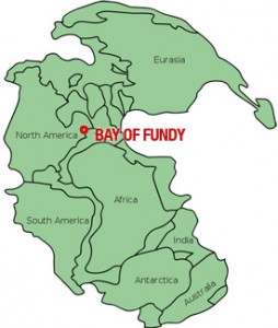 Bay of Fundy Pangaea