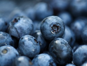 Blueberry Capital of Canada