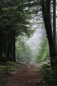 Cape Chignecto Provincial Park