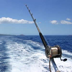 Halifax Sport Fishing Chart