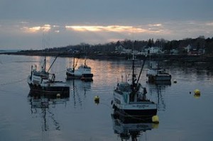 Digby Scallop Fleet Digby Scallop Fleet