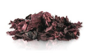 Dried Dulse