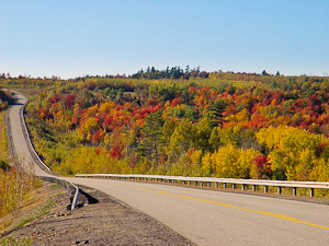 Bay of Fundy Fall Foliage