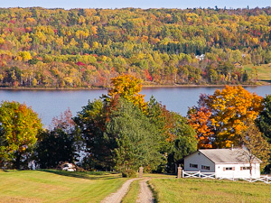 Bay of Fundy Fall Foliage