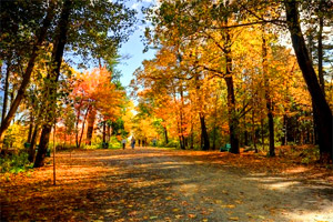 Bay of Fundy Fall Foliage