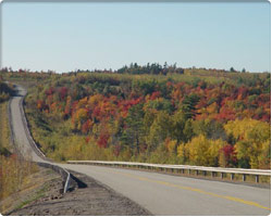 Falls Colours along Route 790