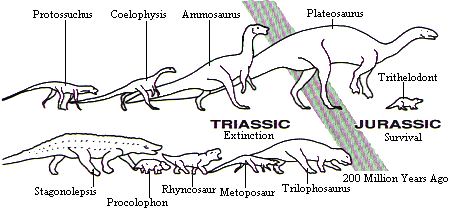 Fundy Dinosaurs