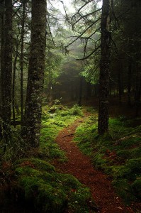 Fundy Footpath