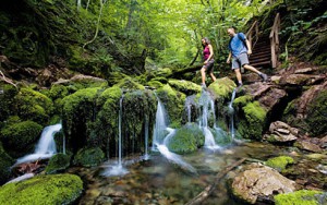Fundy National Park Fundy National Park