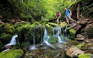 Fundy National Park