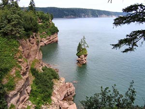Best Campgrounds in Bay of Fundy