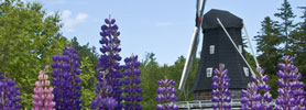 Beautiful Bay of Fundy Gardens