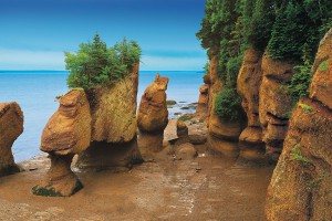 Hopewell Rocks at Low Tide