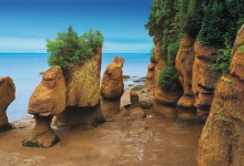 Hopewell Rocks at Low Tide