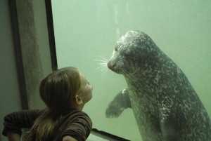 Huntsman Marine Science Centre