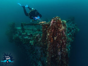 Joey-on-the-Bow-of-a-Bell-Island-Shipwreck