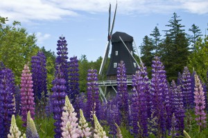 Kingsbrae Gardens Windmill Kingsbrae Gardens Windmill