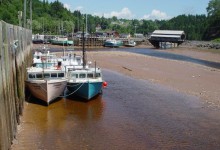 Bay of Fundy  New7Wonders of Nature