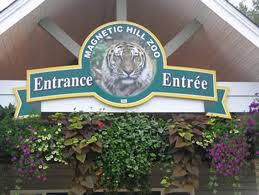Magnetic Hill Zoo Magnetic Hill Zoo