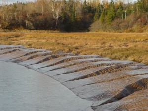 Mudflats