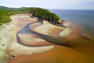 Point Wolfe River Estuary