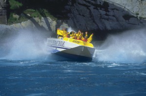 Reversing Falls Jet Boat Ride