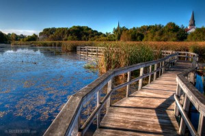 Sackville Waterfowl Marsh Boardwalk