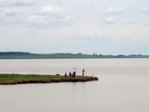 Surprising Sea Bass surf fishing in the Cumberland Basin near Sackville with Fort Beausejour in the background Surprising Sea Bass surf fishing in the Cumberland Basin near Sackville with Fort Beausejour in the background