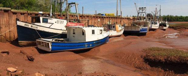 Discovering Wonders in the Bay of Fundy - Landsby