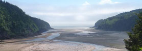 The Fundy Coast