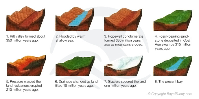 A Geological Summary of the Formation of the Bay of Fundy