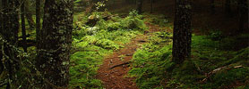 Bay of Fundy Hiking Trails