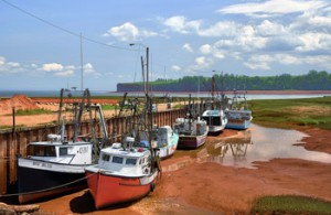 Low Tide in the Bay of Fundy