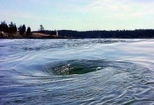 Old Sow Whirlpool