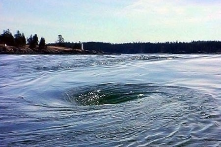Old Sow Whirlpool - Bay of Fundy
