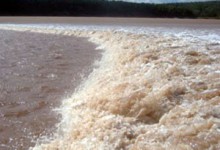 Tidal Bore Wave