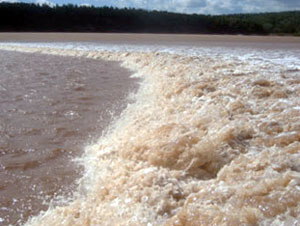 Tidal Bore Wave